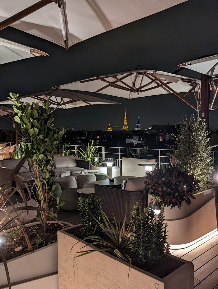 Dame des Arts Hotel : amazing view